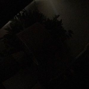 Meet your Posher, Tarsha